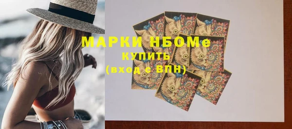 хмурый Алзамай