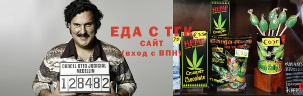 хмурый Алзамай