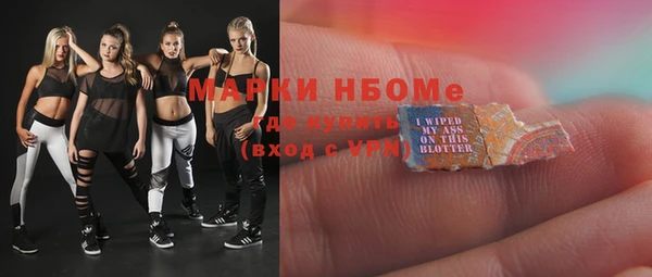 хмурый Алзамай