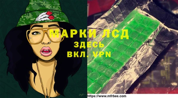 хмурый Алзамай