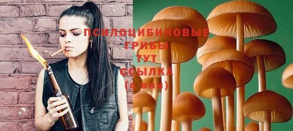 apvp Семилуки
