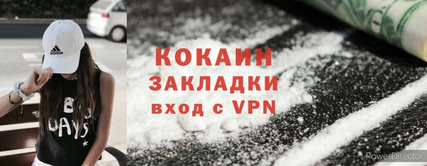 хмурый Алзамай