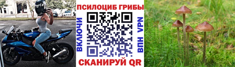 Галлюциногенные грибы MAGIC MUSHROOMS Лахденпохья